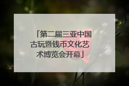 第二届三亚中国古玩暨钱币文化艺术博览会开幕