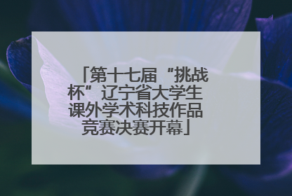 第十七届“挑战杯”辽宁省大学生课外学术科技作品竞赛决赛开幕
