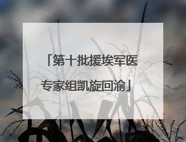 第十批援埃军医专家组凯旋回渝