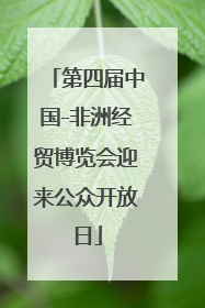 第四届中国-非洲经贸博览会迎来公众开放日