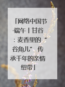 网络中国节·端午丨甘谷：麦香里的“谷角儿” 传承千年的亲情纽带