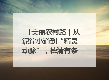 美丽农村路｜从泥泞小道到“精灵动脉”，德清有条“虾路”火了