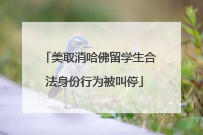 美取消哈佛留学生合法身份行为被叫停
