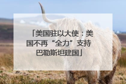 美国驻以大使：美国不再“全力”支持巴勒斯坦建国