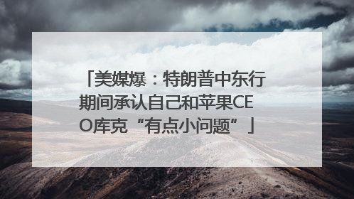 美媒爆：特朗普中东行期间承认自己和苹果CEO库克“有点小问题”