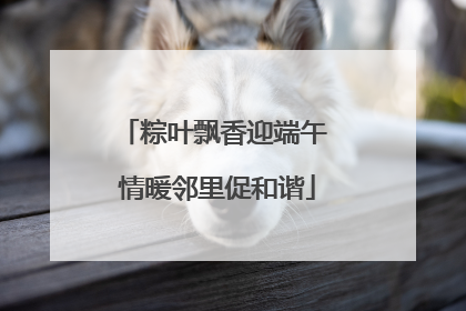 粽叶飘香迎端午 情暖邻里促和谐