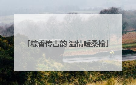 粽香传古韵 温情暖桑榆