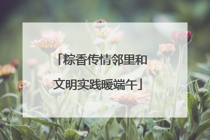 粽香传情邻里和 文明实践暖端午