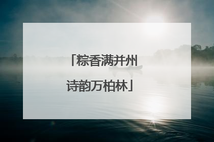粽香满并州 诗韵万柏林