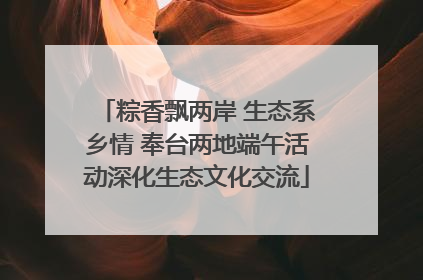 粽香飘两岸 生态系乡情 奉台两地端午活动深化生态文化交流