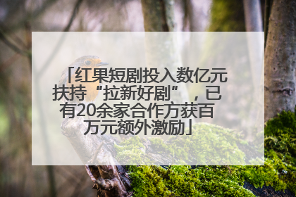 红果短剧投入数亿元扶持“拉新好剧”，已有20余家合作方获百万元额外激励