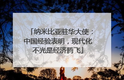 纳米比亚驻华大使：中国经验表明，现代化不光是经济腾飞