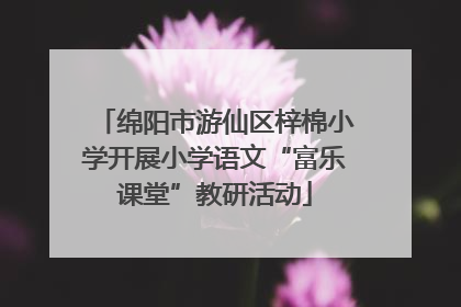 绵阳市游仙区梓棉小学开展小学语文“富乐课堂”教研活动