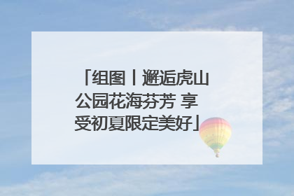组图丨邂逅虎山公园花海芬芳 享受初夏限定美好