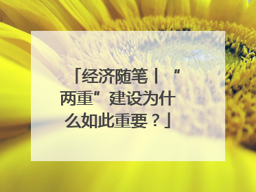 经济随笔丨“两重”建设为什么如此重要？