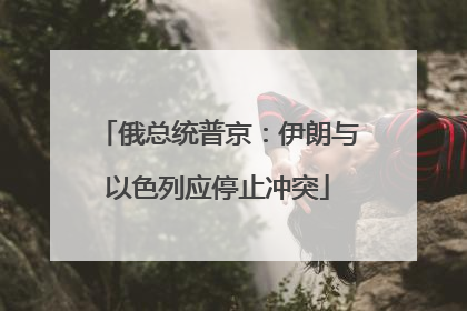俄总统普京：伊朗与以色列应停止冲突