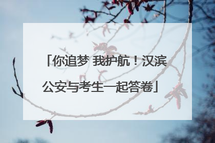 你追梦 我护航！汉滨公安与考生一起答卷