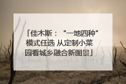 佳木斯：“一地四种” 模式任选 从定制小菜园看城乡融合新图景