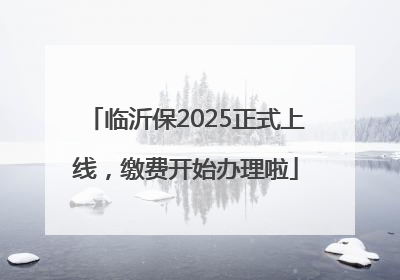 临沂保2025正式上线，缴费开始办理啦