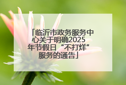 临沂市政务服务中心关于明确2025年节假日“不打烊”服务的通告