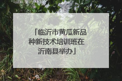 临沂市黄瓜新品种新技术培训班在沂南县举办