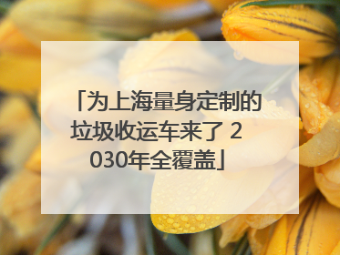 为上海量身定制的垃圾收运车来了 2030年全覆盖
