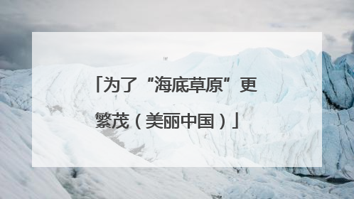 为了“海底草原”更繁茂（美丽中国）
