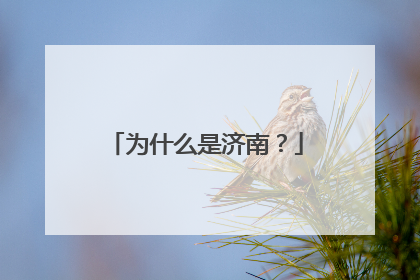 为什么是济南？
