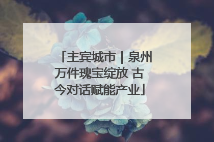 主宾城市｜泉州万件瑰宝绽放 古今对话赋能产业