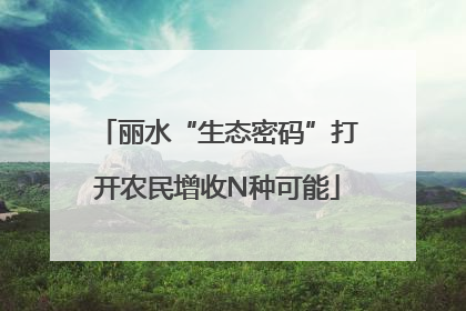 丽水“生态密码”打开农民增收N种可能