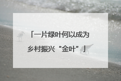一片绿叶何以成为乡村振兴“金叶”