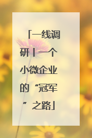 一线调研丨一个小微企业的“冠军”之路