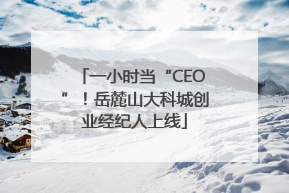 一小时当“CEO”！岳麓山大科城创业经纪人上线