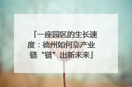 一座园区的生长速度：德州如何靠产业链“链”出新未来