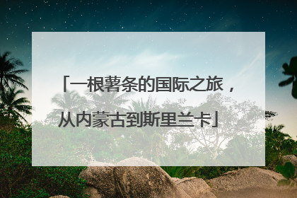 一根薯条的国际之旅，从内蒙古到斯里兰卡