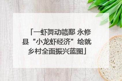一虾舞动赣鄱 永修县“小龙虾经济”绘就乡村全面振兴蓝图