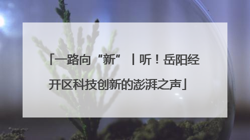 一路向“新”丨听！岳阳经开区科技创新的澎湃之声