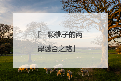 一颗桃子的两岸融合之路