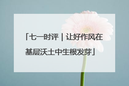 七一时评｜让好作风在基层沃土中生根发芽