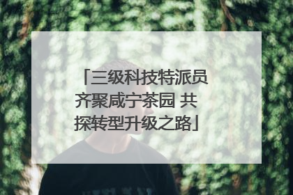 三级科技特派员齐聚咸宁茶园 共探转型升级之路