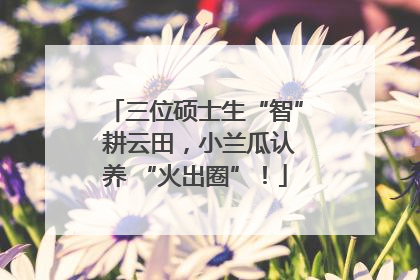 三位硕士生“智” 耕云田，小兰瓜认养 “火出圈”！