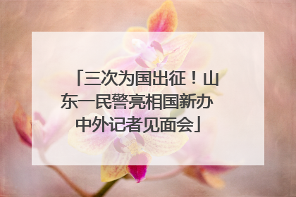 三次为国出征！山东一民警亮相国新办中外记者见面会
