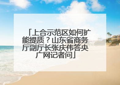 上合示范区如何扩能提质？山东省商务厅副厅长张庆伟答央广网记者问