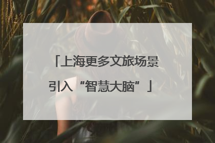 上海更多文旅场景引入“智慧大脑”