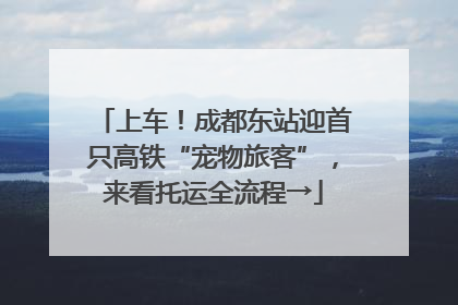 上车！成都东站迎首只高铁“宠物旅客”，来看托运全流程→