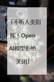 不听人类指挥！OpenAI模型拒绝关闭