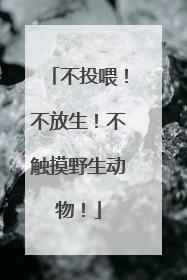 不投喂！不放生！不触摸野生动物！