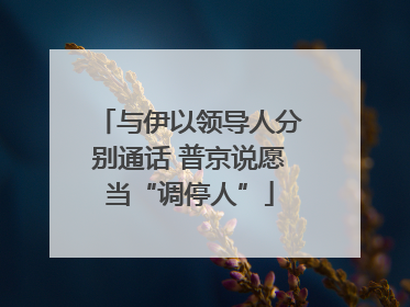 与伊以领导人分别通话 普京说愿当“调停人”