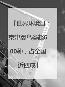 世界环境日：京津冀鸟类超600种，占全国近四成
