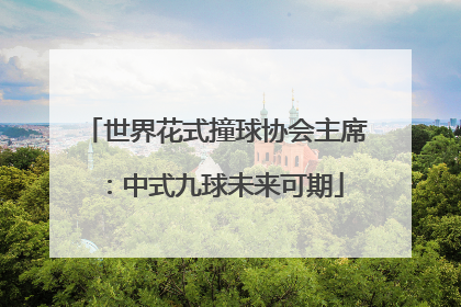 世界花式撞球协会主席：中式九球未来可期